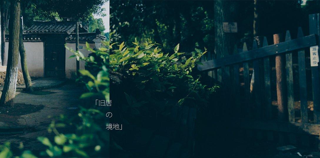 清凉夏日冰淇淋