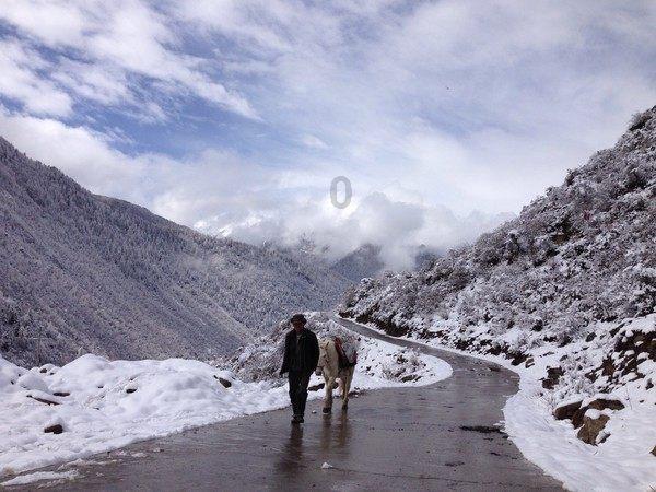 全州低温雨雪凝冻灾害防范应对工作视频调度会召开
