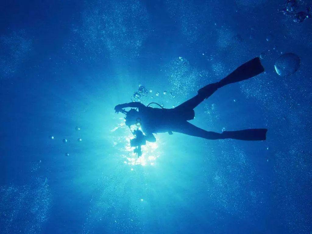 【上级媒体关注永济】山西永济端稳“致富碗”:民众在黄河边吃上“文旅饭”“生态饭”