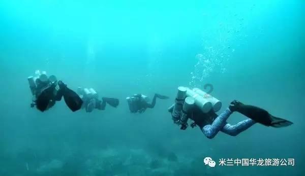 伯斯森林逃生